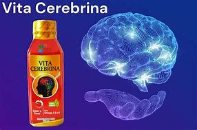 Image result for cerebrina