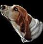 Image result for Famous Artists Dog Paintings