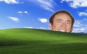 Image result for Dank Meme Background Windows XP