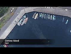 Image result for Oshima Island Sunken Ship