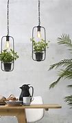 Image result for Hanging Plant Light