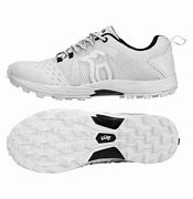 Image result for Cricket Shoes