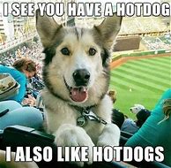 Image result for Funny Animal Stories