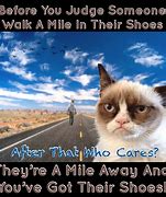 Image result for Walk a Mile in My Shoes Funny