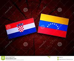 Image result for Small Croatian Flag