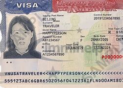Image result for United States Blank Visa