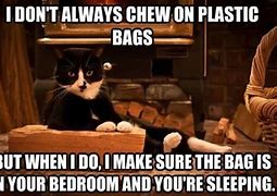 Image result for Library Cat Memes