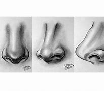 Image result for C Ugky Nose Sketch