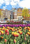 Image result for Amsterdam Netherlands Landscape