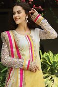 Image result for Punjabi Culture Dress