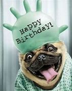 Image result for Happy Birthday Dog Meme