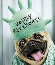 Image result for Funny Dog Birthday Memes