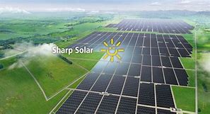 Image result for Sharp Photovoltaic Panels