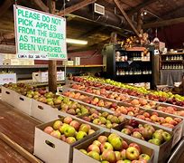 Image result for Apple Hill York PA
