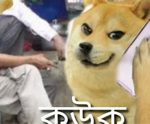 Image result for Bangla Doge Meme