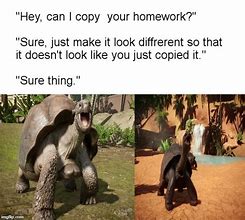 Image result for Planet Zoo Memes