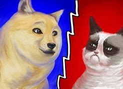 Image result for Grumpy Cat Memes so Beautiful