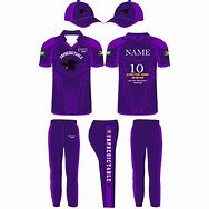 Image result for Purple Cricket Shield Logo