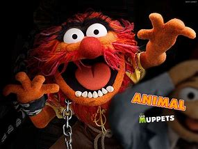 Image result for Animal Muppet Characters Names