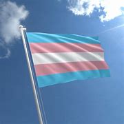 Image result for Trans Nazbol Flag