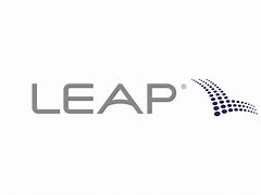 Image result for Leap Wireless