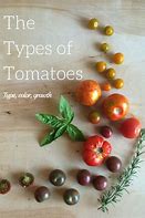 Image result for Types of Tomato