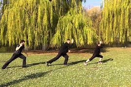 Image result for Wudang Chuan