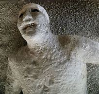 Image result for Pompeii Bodies Preserved