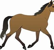 Image result for Horse Charms