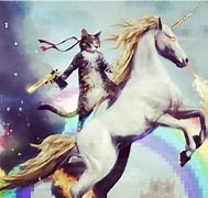 Image result for Cat On Unicorn Meme