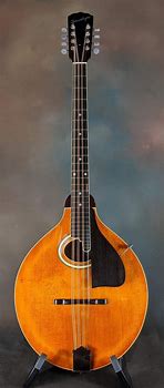 Image result for Octave Mandolin Italy