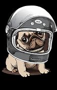Image result for Space Pug