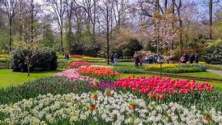 Image result for Beautiful Gardens Amsterdam Netherlands