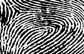 Image result for U.are.U Fingerprint Reader