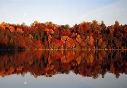 Image result for Syracuse New York Fall