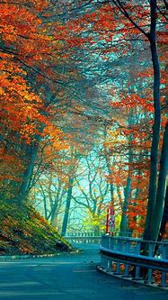 Image result for Autumn iPhone Wallpaper HD