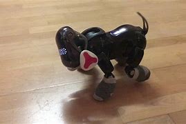 Image result for Aibo Bone