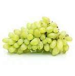 Image result for Plant That Looks Like Grapes