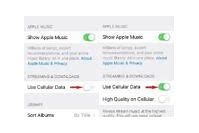 Image result for Apple Music Song Display