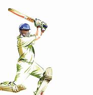 Image result for Cricket Illustration