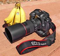 Image result for Canon 300D Battery Grip