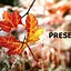 Image result for Templates Free Printable Fall Background