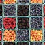 Image result for Different Types of Berries List