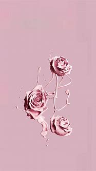 Image result for Pink Wallpaper for iPhone XR