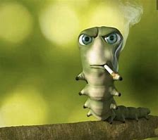 Image result for Bug Smoking Meme