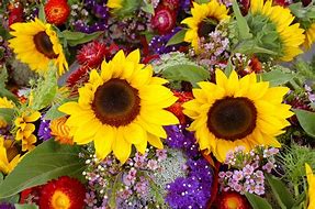 Image result for Bunches of Flowers Images