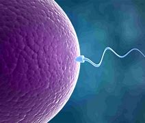 Image result for xxxpatrol.club/page-sperm-multipli-1.html