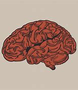 Image result for Red Brain