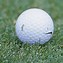 Image result for Tiger Woods Golf Clubs