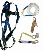 Image result for MSC Racing Harness